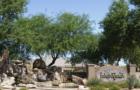 Welcome to Jake's Ranch, one of the most highly desired  and friendliest neighborhoods in Gilbert Arizona.