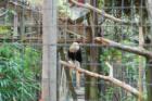 Cape May Zoo