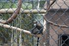 Cape May Zoo