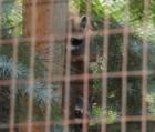 Cape May Zoo