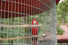 Cape May Zoo