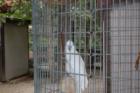 Cape May Zoo