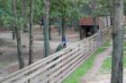 Cape May Zoo