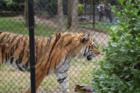 Cape May Zoo