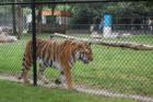 Cape May Zoo