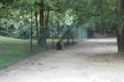 Cape May Zoo