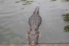 Cape May Zoo
