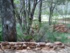 Red Rocks State Park - Sedona, The Armijo Ditch with the Kisva Trail in the background