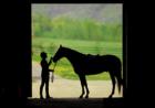 Equestrian Center