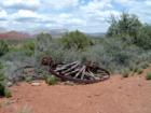 Red Rock Park - Sedona, Piece of equipment which looked like a large wheel for the construction of The House of Apache Fire.