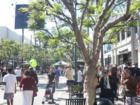 The famed 3rd Street Promenade in Santa Monica