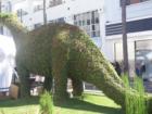 Dinasaur topiary in the middle of 3rd Street Promenade in Santa Monica, one of several