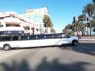 A massive limousine, a common sighting in Santa Monica (and Los Angeles in general)
