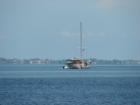 Photo from Emerson Point Park of the Manatee River where it meets the Gulf of Mexico