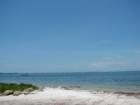 Emerson Point Park in Palmetto