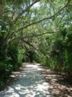 Emerson Point Park in Palmetto