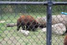Cape May Zoo