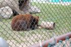 Cape May Zoo