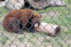 Cape May Zoo