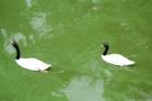 Cape May Zoo