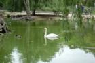 Cape May Zoo