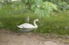 Cape May Zoo