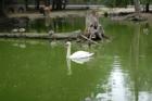 Cape May Zoo