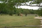 Cape May Zoo