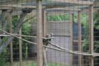 Cape May Zoo