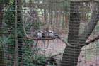 Cape May Zoo