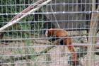 Cape May Zoo