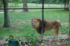 Cape May Zoo