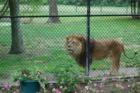 Cape May Zoo