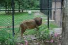 Cape May Zoo