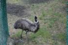Cape May Zoo