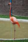 Cape May Zoo