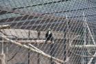 Cape May Zoo