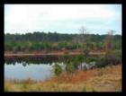 Vacant Lot - Largest in the Grande Dunes DIRECTLY on the Intracoastal Waterway !!
      1.14 Acres !! 200' feet on the Waterway.
      Pachino Drive in the Palermo Section of the Grande Dunes