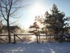Winter Sunrise