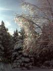 Snow and Ice