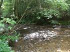 A tranquil picture taken in the Helton Falls Area