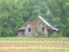 Decrepit in appearance, but with its own charm!