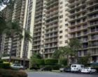Winston Towers 
