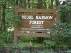 Reuel Harmon Forest on Schoolhouse Road, Madeline Island