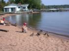 Feeding the ducks on the beach in downtown LaPointe, Wisconsin