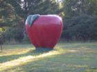 The famous "Bayfield Apple" has been a float display in the annual Apple Festival parade for decades.