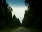 South Pass Road, among the trees