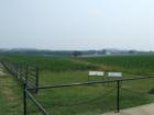 Now a corn field and once a major battle during the Civil War.  (Monacacy Battlefield)