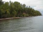 Ar118500407288008_l