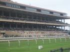 The stands and track seen from the infield at Del Mar Race Track